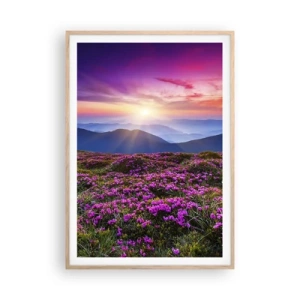Plakat i ramme af lyst egetræ - Urter duftede friske bundter fra niw - 70x100 cm