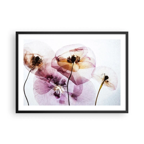 Plakat i sort ramme - Blomsterlegeme dias - 70x50 cm