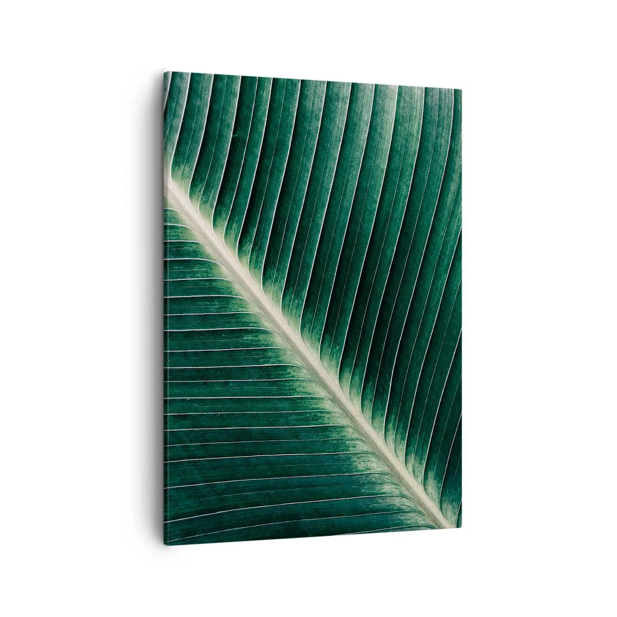 Lærredstryk - Billede på lærred - Naturens rytme - 50x70 cm