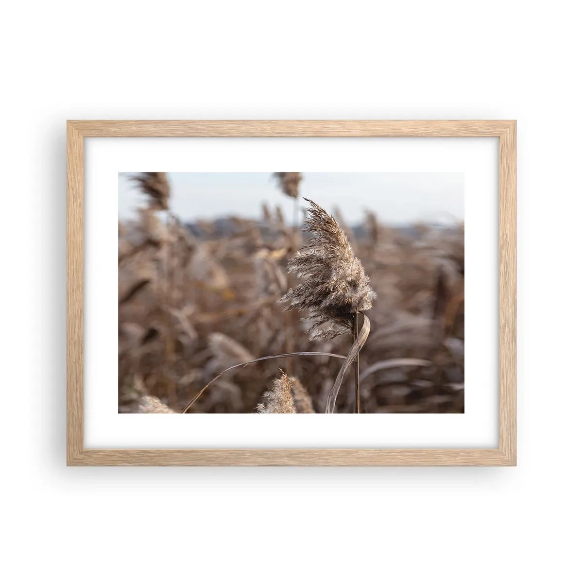 Plakat i ramme af lyst egetræ - Tid til at flyve væk med vinden - 40x30 cm