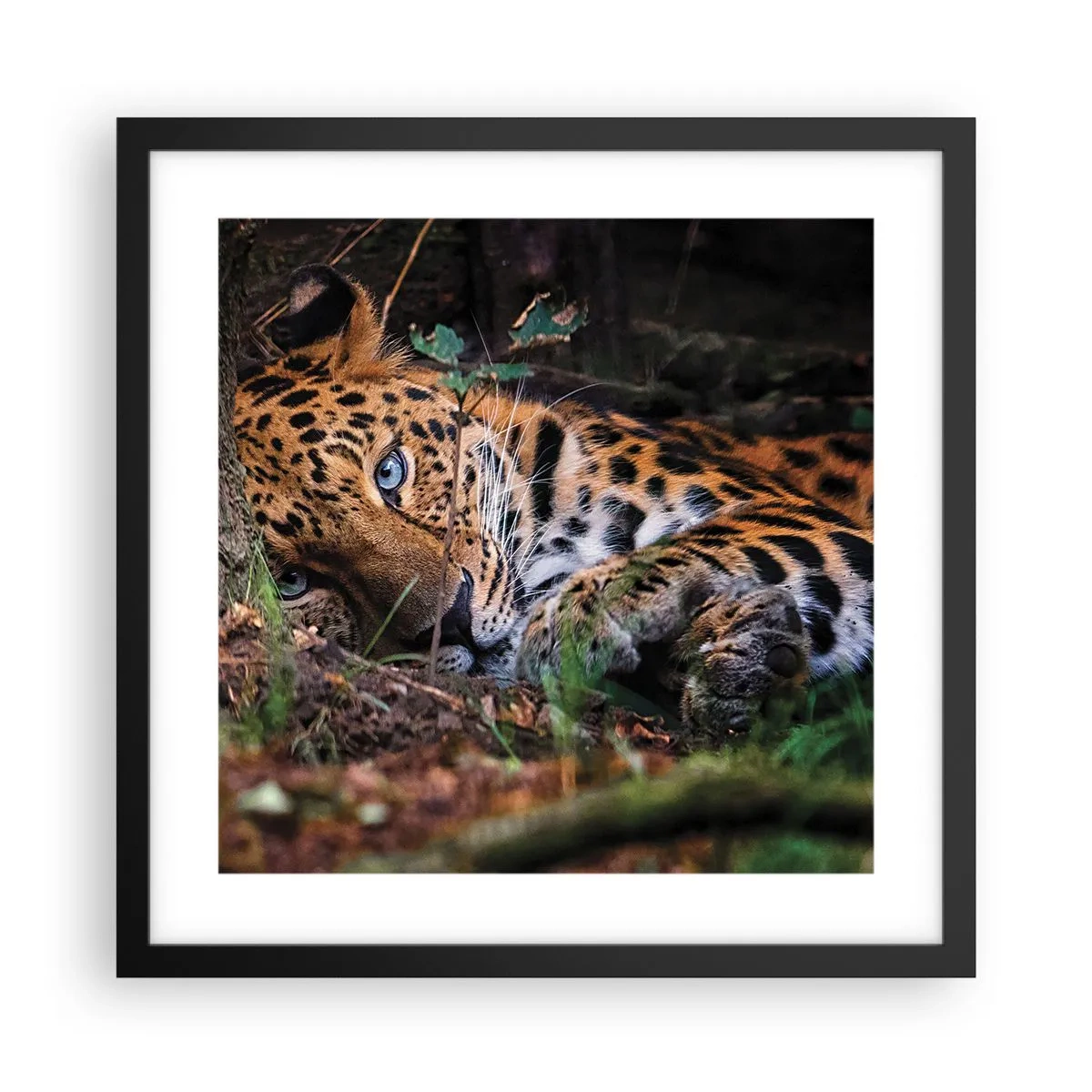 Plakat i sort ramme - Stol på mig - 40x40 cm