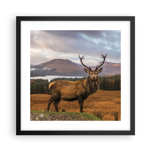 Plakat i sort ramme - Naturens majestæt - 40x40 cm