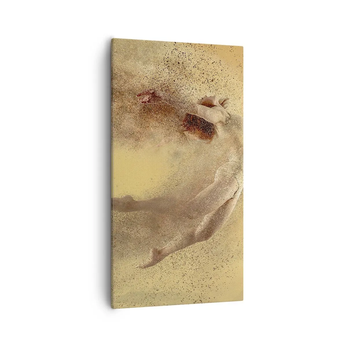 Lærredstryk - Billede på lærred - I dansende henrykkelse - 55x100 cm