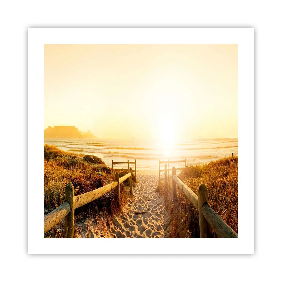 Plakat - Over klitten, mod solen - 50x50 cm