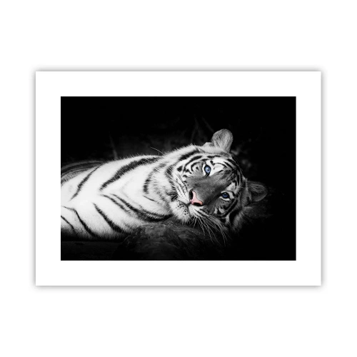 Plakat - Vildskab og fred - 40x30 cm