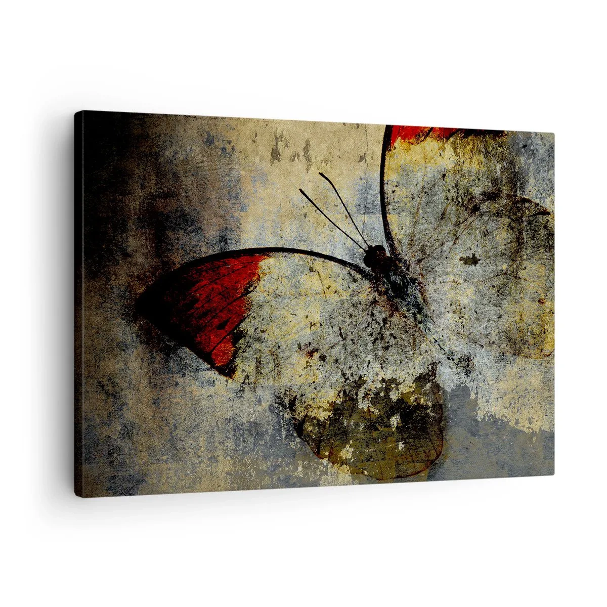 Lærredstryk - Billede på lærred - En sommerfugl i nuancer af rød og grå på en tekstureret baggrund - 70x50cm - Se, før jeg forsvinder - Moderne vægdekoration til stue og soveværelse ARTTOR