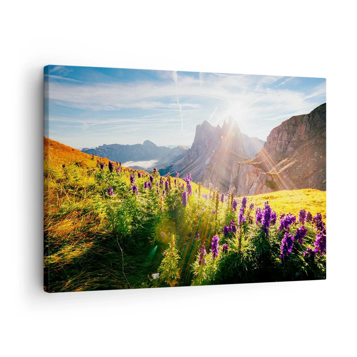 Lærredstryk - Billede på lærred - Bjerglandskab med blomster i lyset af den opgående sol - 70x50cm - Urternes hemmelige liv - Moderne vægdekoration til stue og soveværelse ARTTOR