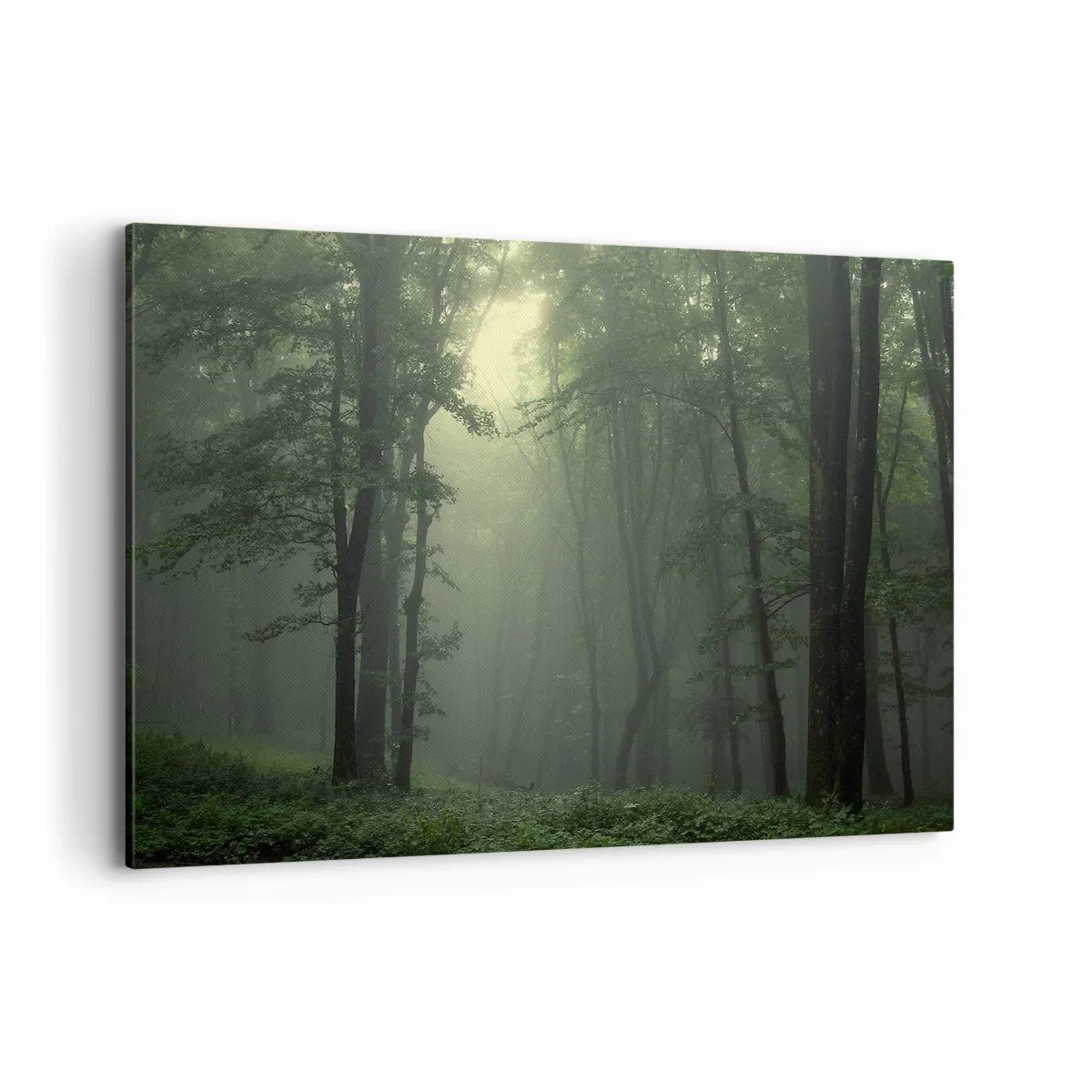 Lærredstryk - Billede på lærred - Før han vågner op - 100x70 cm