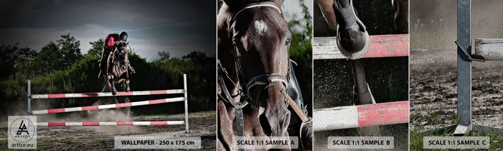 Prøve Fototapet Premium Sand - Sammen om sejren - Dyr, Hest, Sport - 100x30 cm