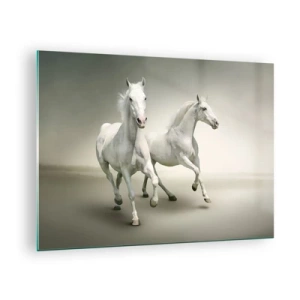 Billede på glas - To hvide heste løber mod en lys baggrund - 70x50cm - White power! - Moderne vægdekoration til stue og soveværelse ARTTOR