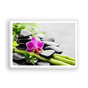 Plakat i hvid ramme - I en fredelig balance - 100x70 cm