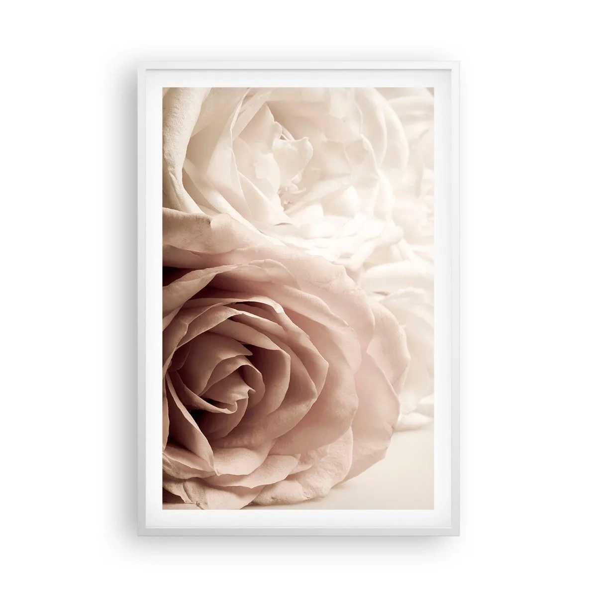 Plakat i hvid ramme - I rosens hjerte - 61x91 cm