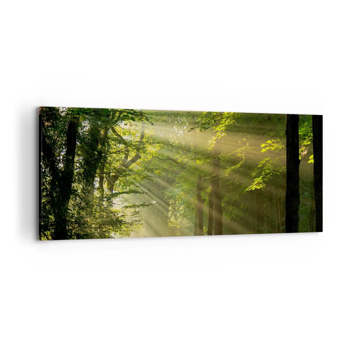 Lærredstryk - Billede på lærred - Øjeblik i skoven - 120x50 cm