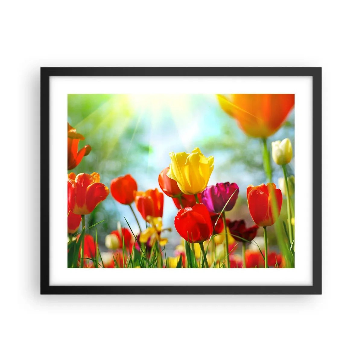Plakat i sort ramme - Alle solens farver - 50x40 cm