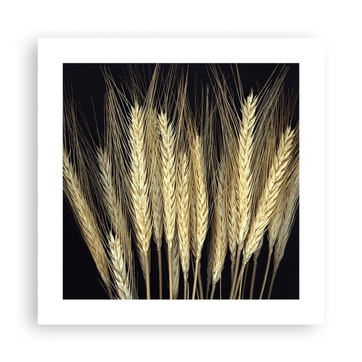 Plakat - Rustik magi - 40x40 cm