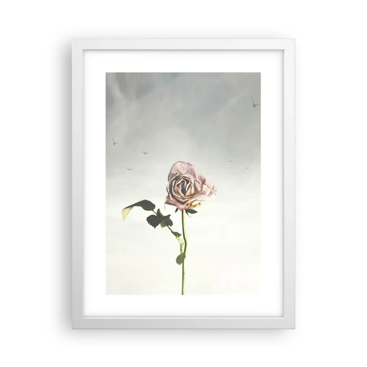 Plakat i hvid ramme - Velkomst til foråret - 30x40 cm
