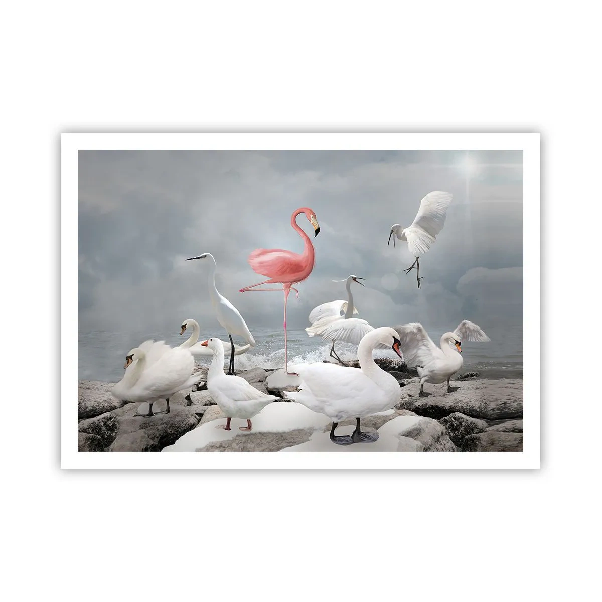 Plakat - Hvor kommer jeg fra? - 100x70 cm