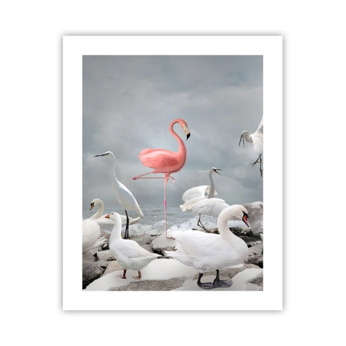 Plakat - Hvor kommer jeg fra? - 40x50 cm