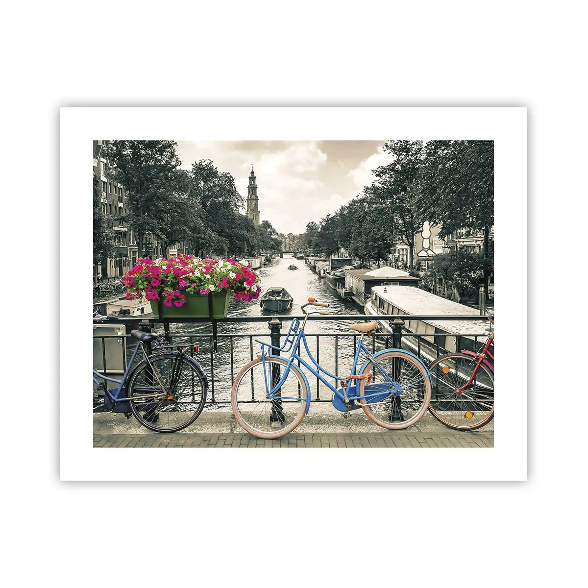 Plakat - Farverne i Amsterdams gader - 50x40 cm
