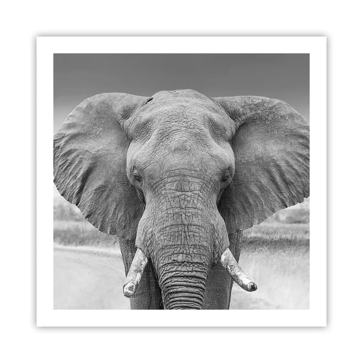 Plakat - Velkommen til min verden - 60x60 cm