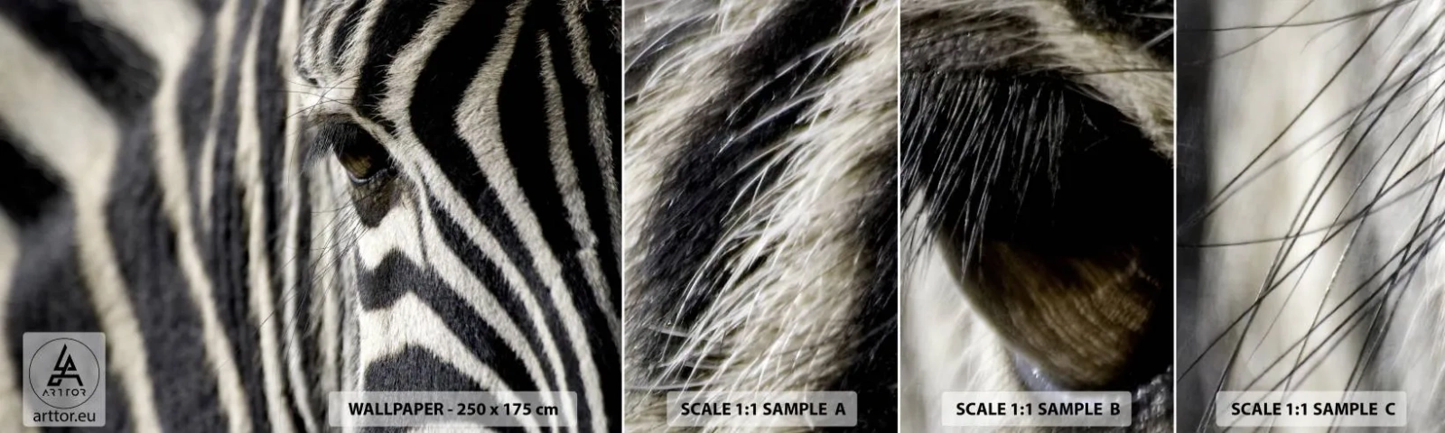 Prøve Fototapet Selvklæbende Deluxe Sticker - Stribet portræt - Dyr, Ribben, Afrika - 100x30 cm