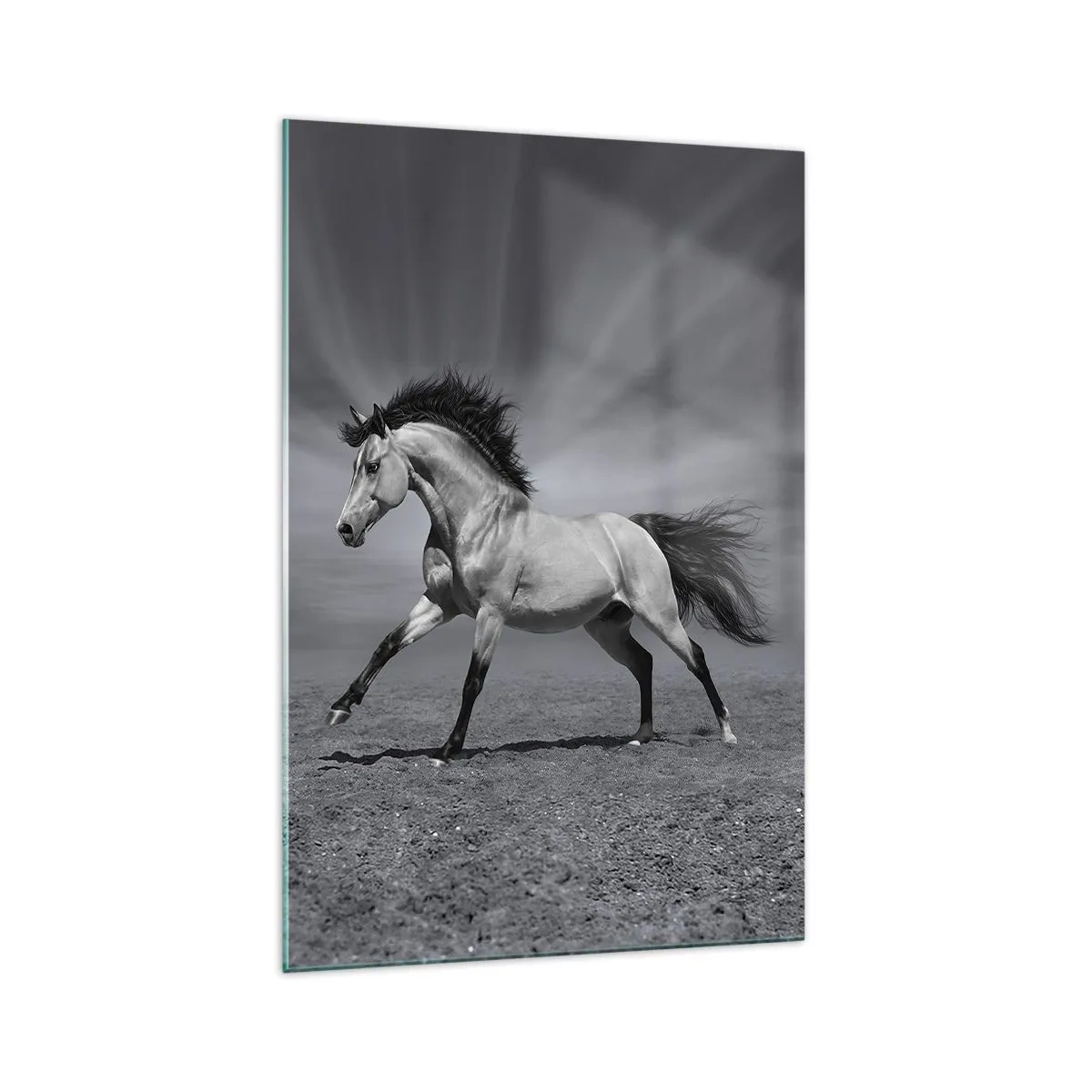 Billede på glas - Født til glæde - 70x100 cm