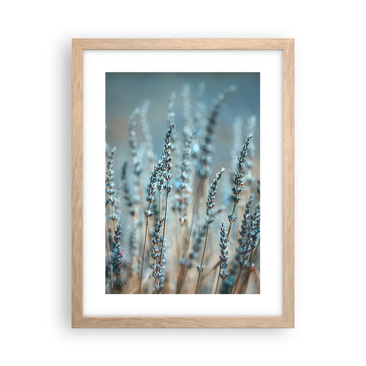 Plakat i ramme af lyst egetræ - Duftende plet - 30x40 cm