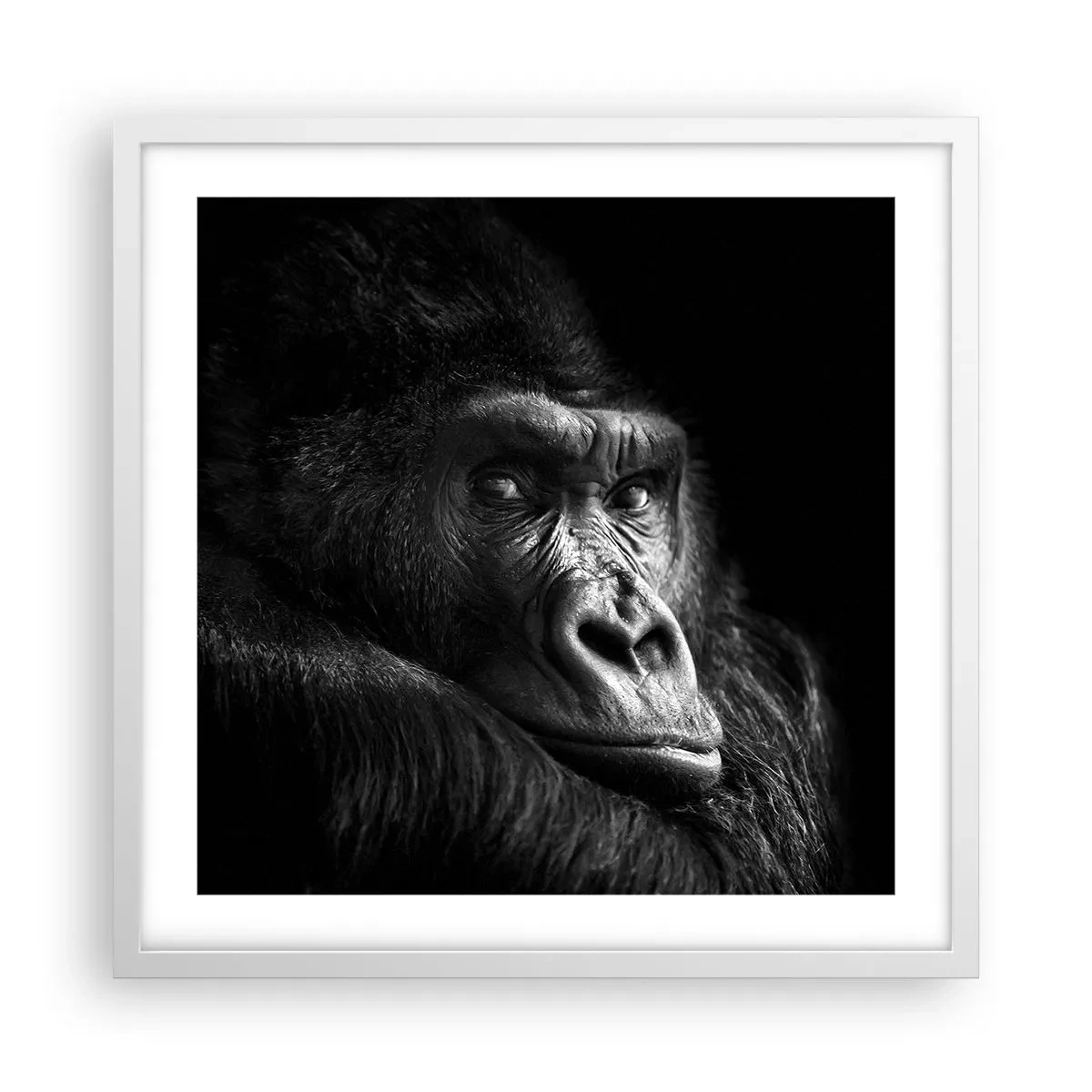 Plakat i hvid ramme - Og hvad kigger du på? - 50x50 cm