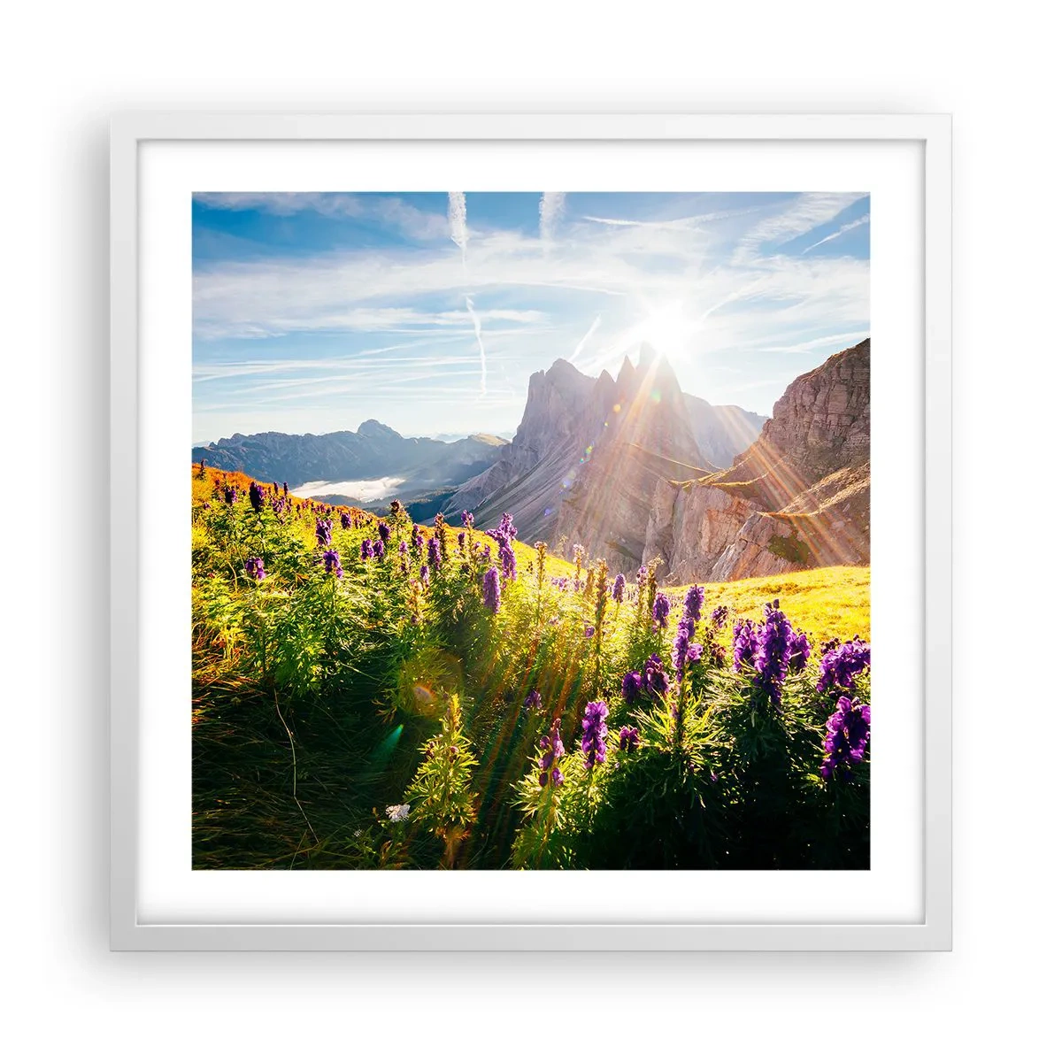 Plakat i hvid ramme - Urternes hemmelige liv - 50x50 cm