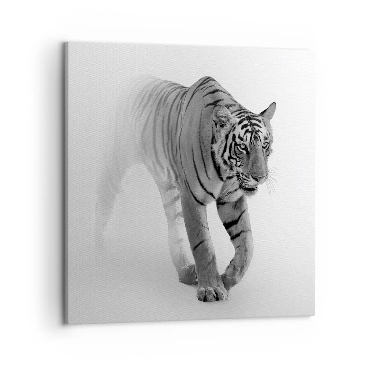 Lærredstryk - Billede på lærred - Krybende i tågen - 50x50 cm