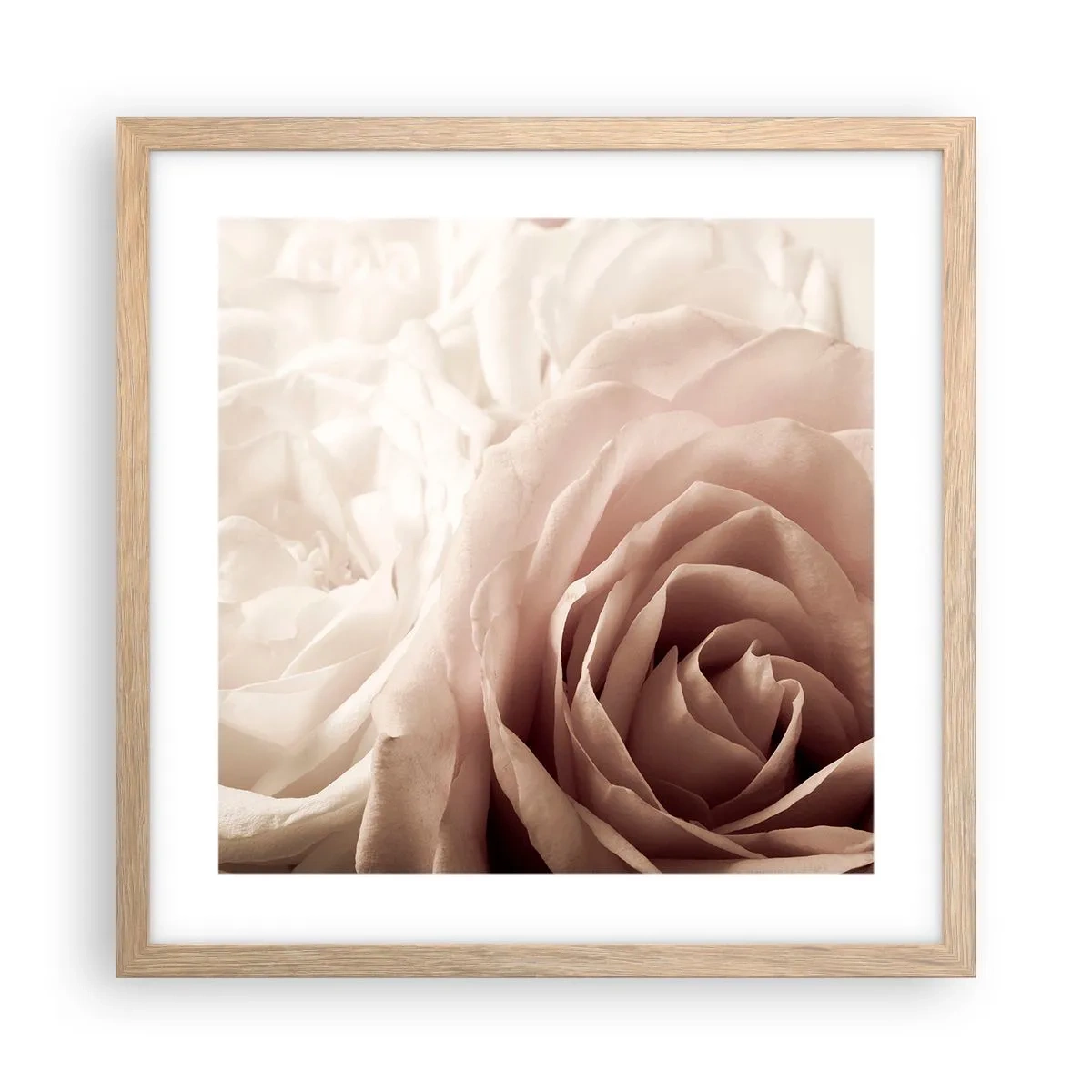 Plakat i ramme af lyst egetræ - I rosens hjerte - 40x40 cm