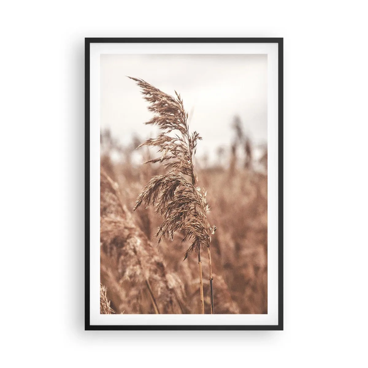 Plakat i sort ramme - Efteråret er allerede på markerne - 61x91 cm