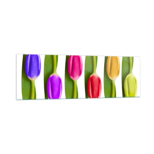 Billede på glas - Regnbuesammensætning - 160x50 cm