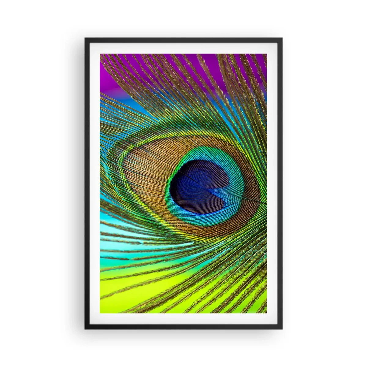 Plakat i sort ramme - Øje mod øje - 61x91 cm