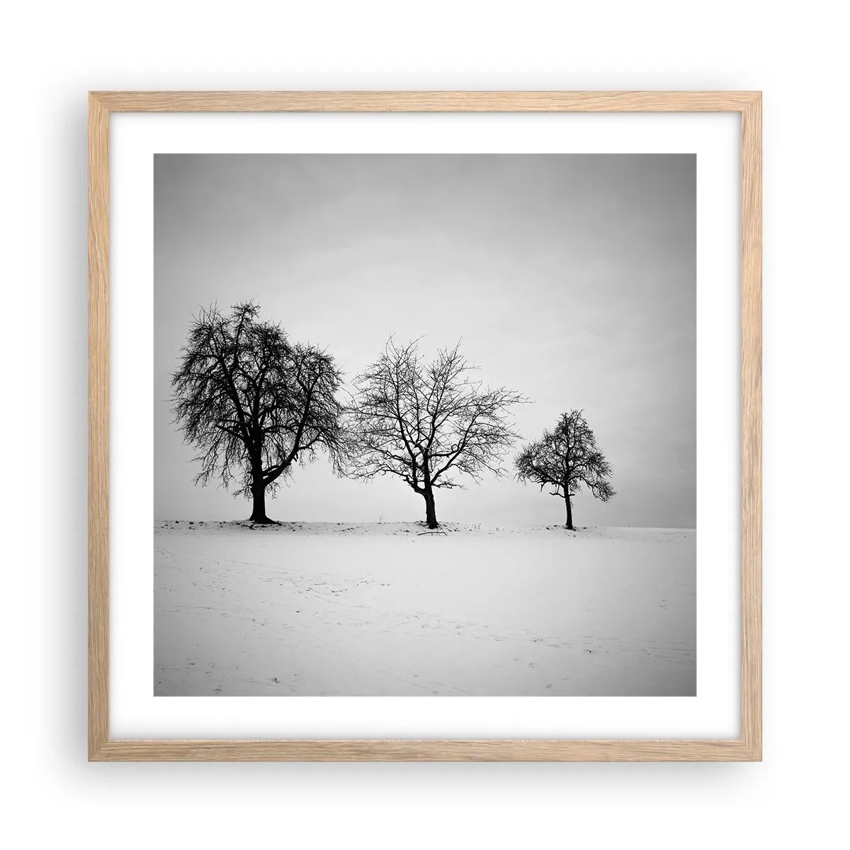 Plakat i ramme af lyst egetræ - Hvad drømmer de om? - 50x50 cm