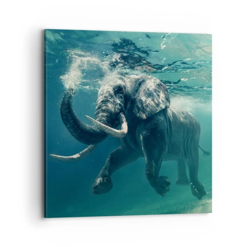 Lærredstryk - Billede på lærred - Alle kan lide at svømme - 70x70 cm