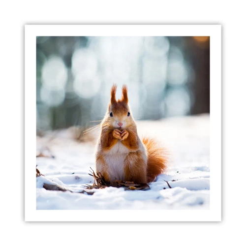 Plakat - Og hvad kigger du på? - 60x60 cm