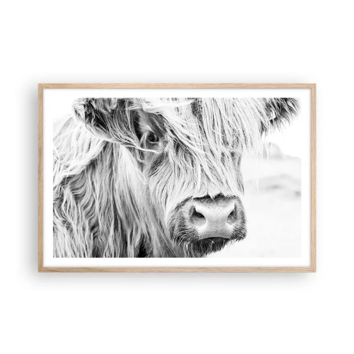 Plakat i ramme af lyst egetræ - Skotsk vildmark - 91x61 cm