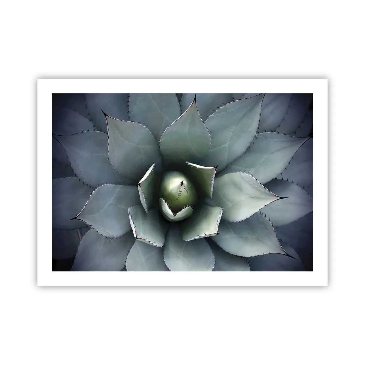 Plakat - Lokkemad og advarsler - 70x50 cm