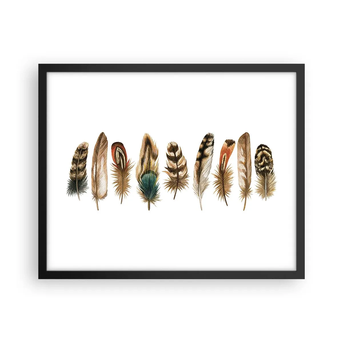 Plakat i sort ramme - Variation med fjer - 50x40 cm