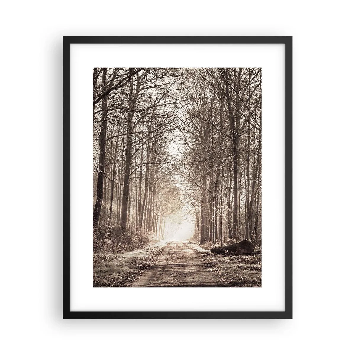 Plakat i sort ramme - Skovkatedralen - 40x50 cm