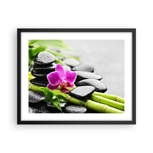 Plakat i sort ramme - I en fredelig balance - 50x40 cm