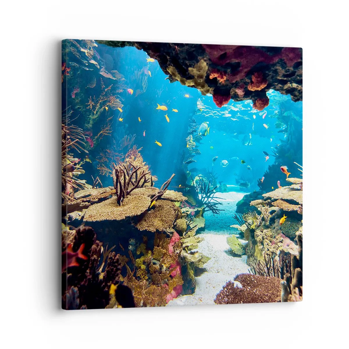 Lærredstryk - Billede på lærred - Du har ikke engang drømt - 30x30 cm