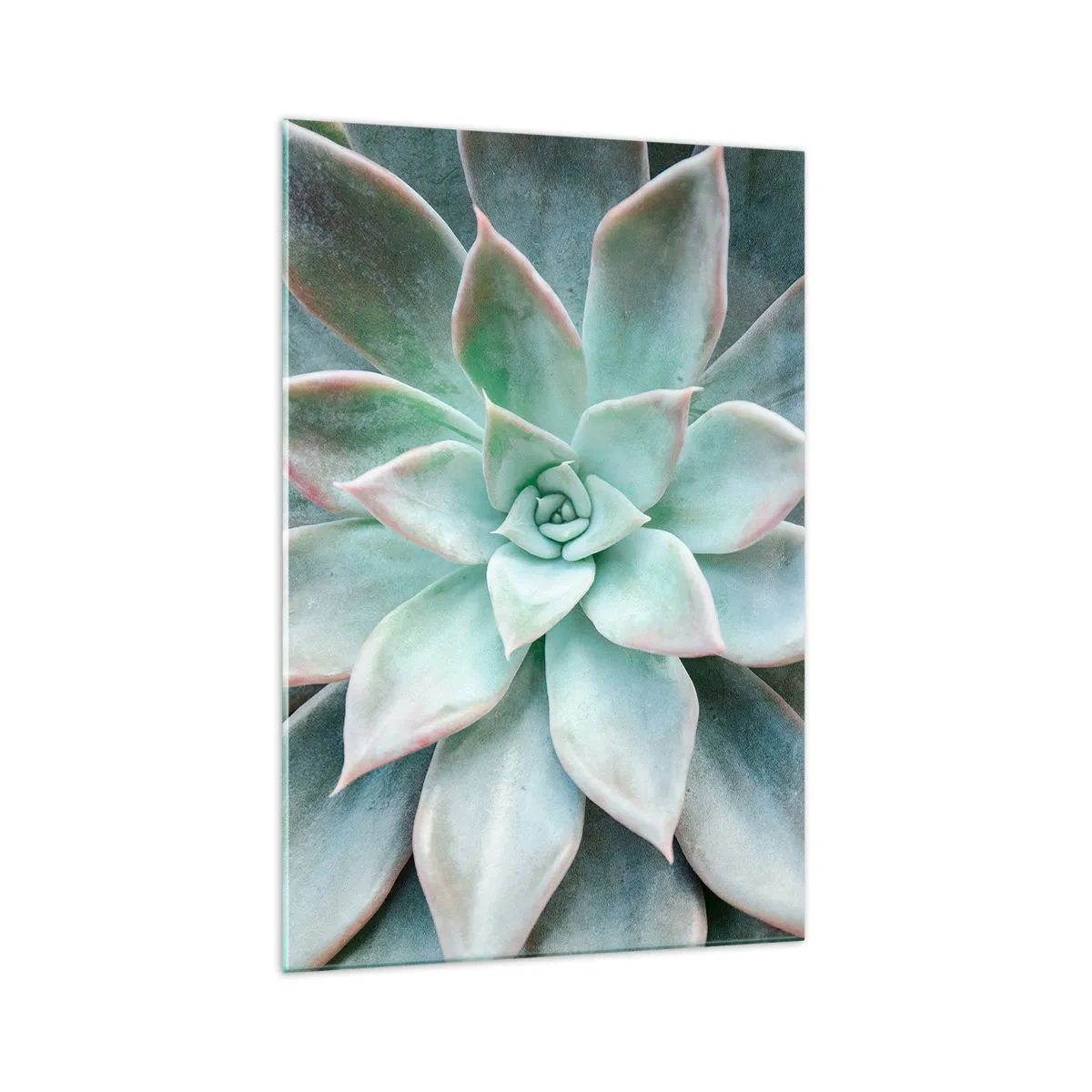 Billede på glas - Hjertet af ørkenen - 70x100 cm