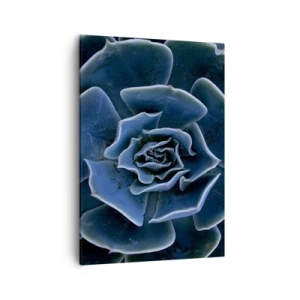 Lærredstryk - Billede på lærred - Ørkenblomst - 50x70 cm