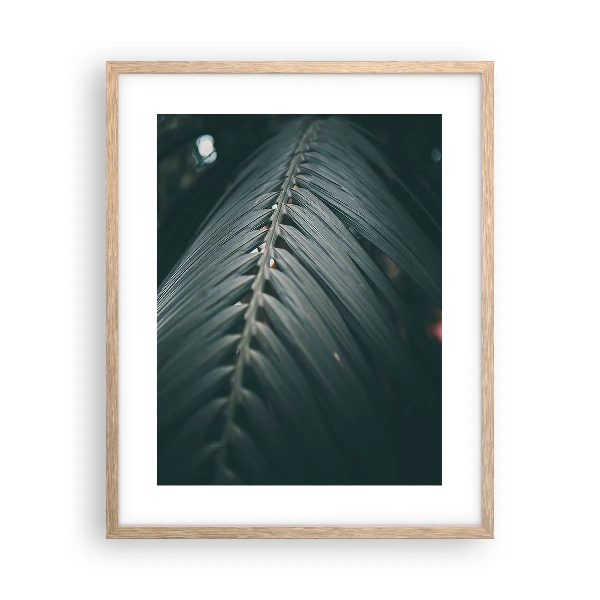 Plakat i ramme af lyst egetræ - Naturens præcision - 40x50 cm