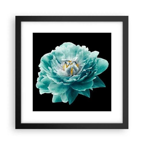 Plakat i sort ramme - Blå og gyldne kronblade - 30x30 cm