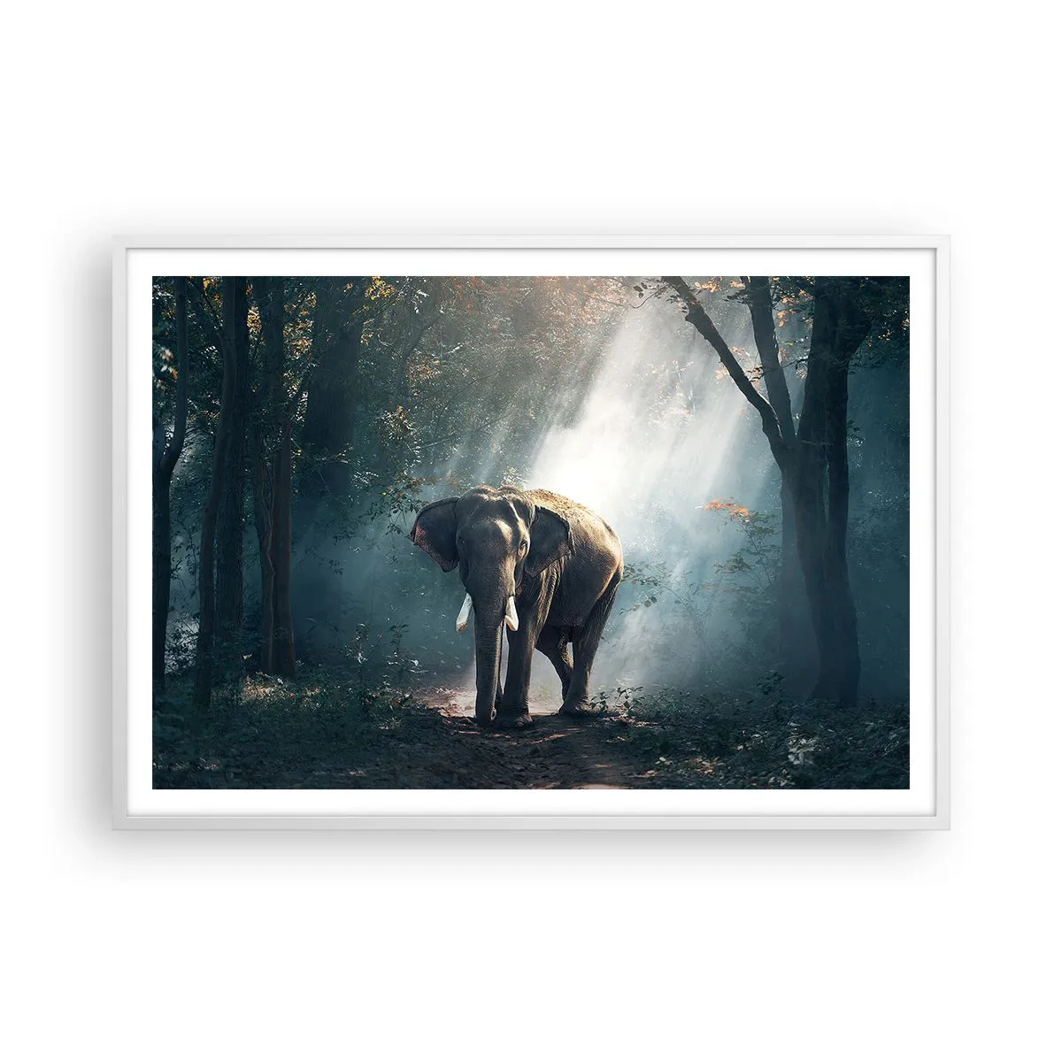 Plakat i hvid ramme - En fredelig gåtur - 100x70 cm