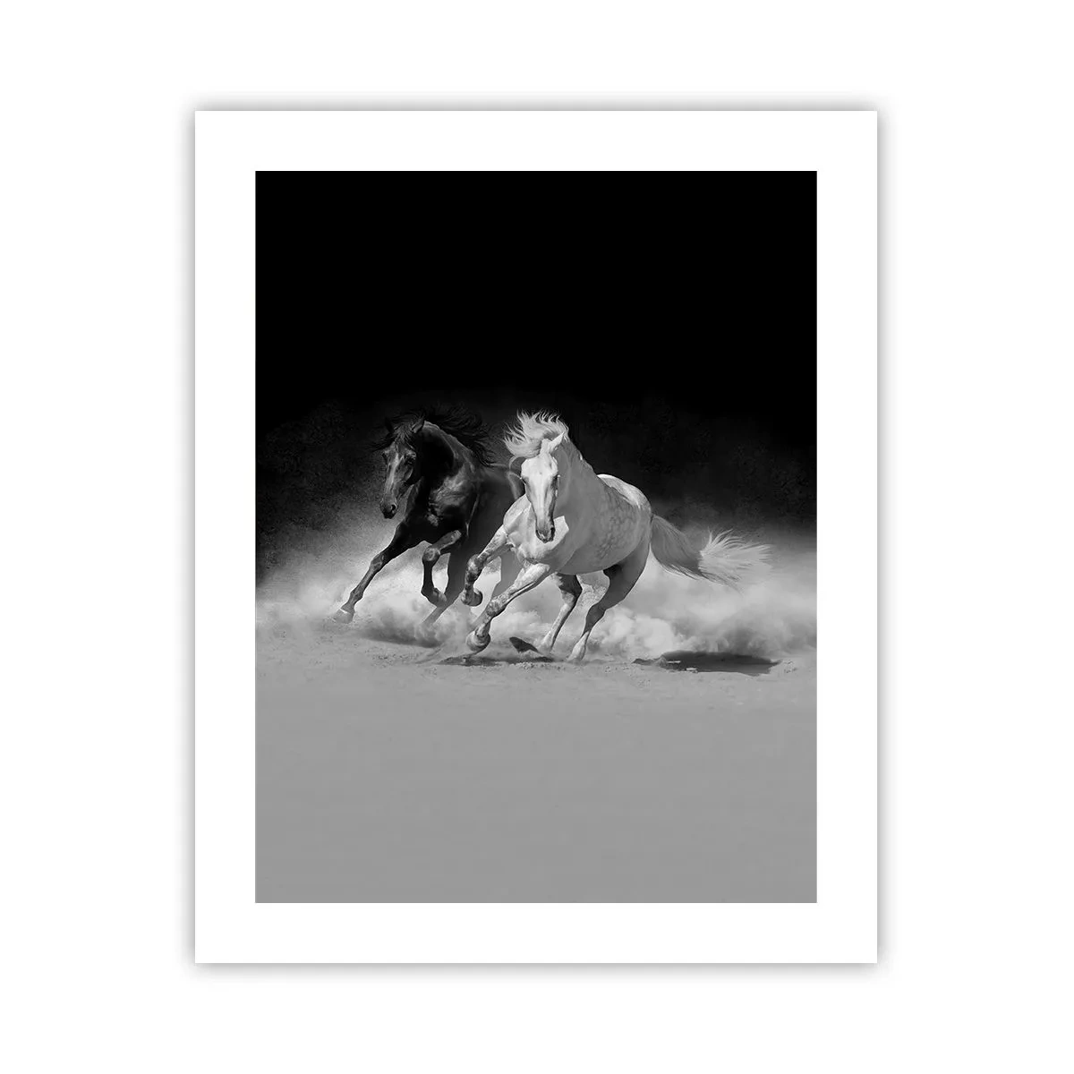 Plakat - Frihedens galop - 40x50 cm