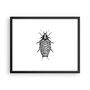 Plakat i sort ramme - Sikke et eksemplar! - 50x40 cm